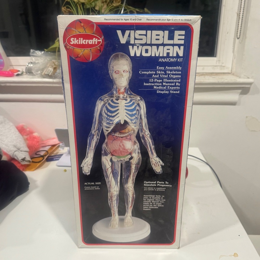 Skillcraft Visible Woman Anatomy Kit Model 74623 Educational Science Model *READ